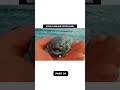 Deep Sea Creatures Are Getting Creepier 😨 | What’s Hiding in the Ocean? Part 4