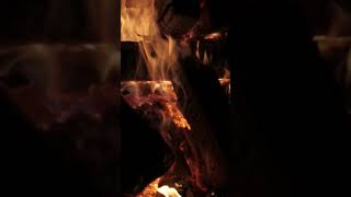 #shorts#fire#campfire#bonfire#fireplace#flames#burning#cozy#relaxing#asmr#satisfying#camping