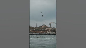 ماتيسر من سورة العنكبوت | عبد الرحمن مسعد .. #إسلاميات #islam #عبدالرحمن_مسعد