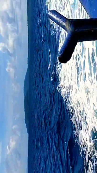 Aisi Deewangi Dekhi Nahi | #hindisong #song #bollywood #lovebondsandamanvlog #shorts #travel #love