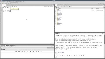 Special vectors in R