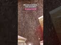 2026 Shimla Live Snowfall today #snowfall #travel #kufri #shorts #viral #shimlasnowfall #kufrishimla
