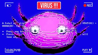 KINITOPET (JEU COMPLET FR)