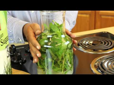 how-to-make-mint-infused-vodka