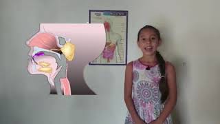 INTRODUCCION A LA DIGESTION by plantas y Semillas CS 277 views 3 years ago 1 minute, 8 seconds