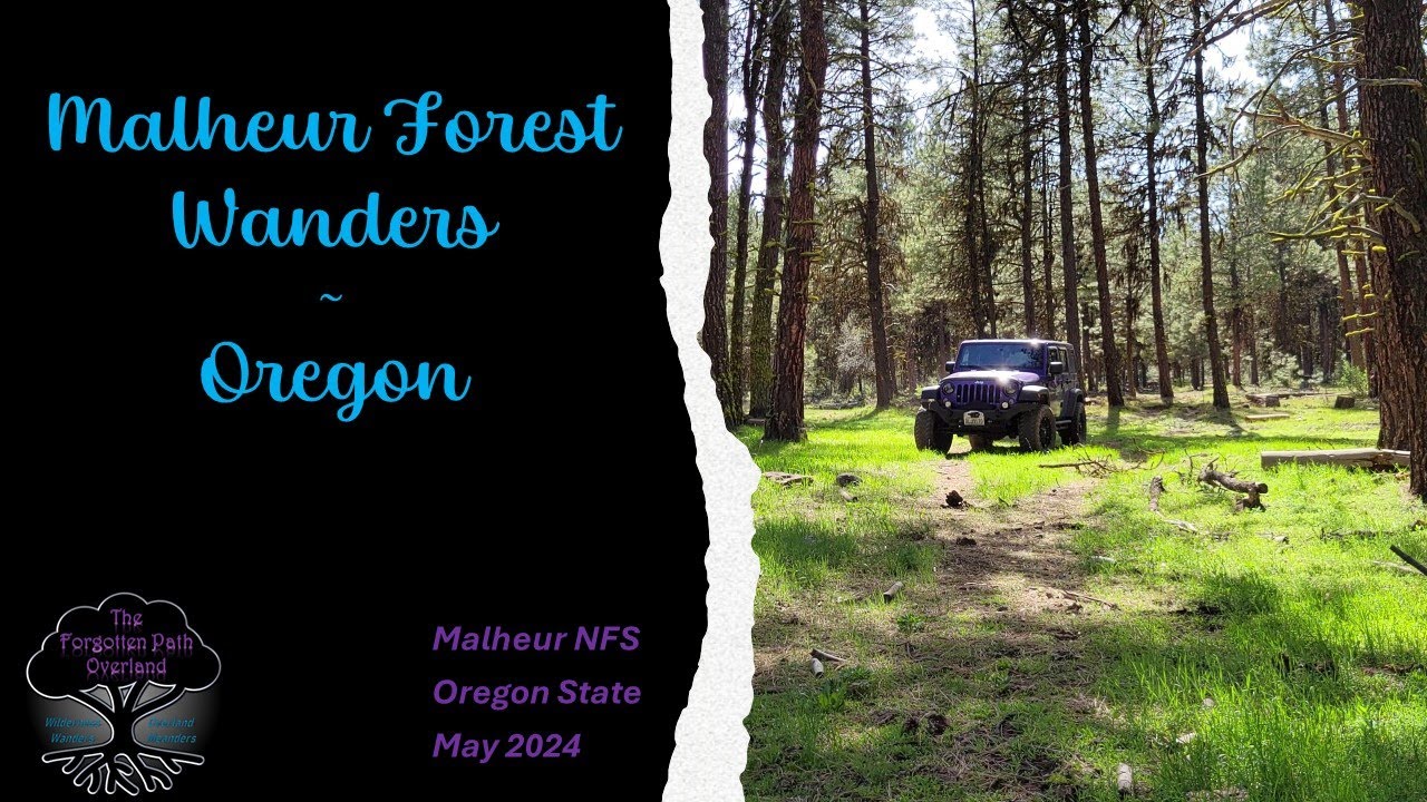 #17 '24 - Malheur Forest Wanders - Oregon
