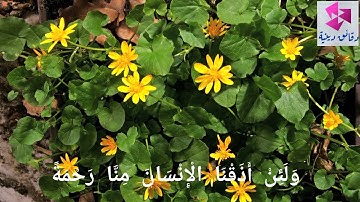 (وَلَئِنْ أَذَقْنَا الْإِنْسَانَ مِنَّا رَحْمَةً) . القارئ احمد النفيس