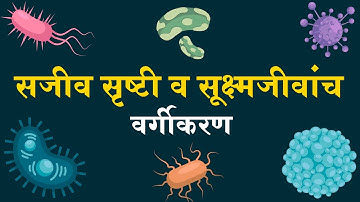 Class 8 | सजीव सृष्टी व सूक्ष्मजीवांचे वर्गीकरण | Sajiv srushti sukshma jivanche vargikaran Science