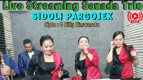 SENADA TRIO - SIDOLI PARGOJEK - Cipta : G.Billy Simarmata- Cover Live Hits @hangganeriksonchannel8093