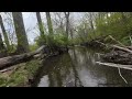 Found a creek to fly in with some ducks flying around. Watching until the end! #dji #djiavata2