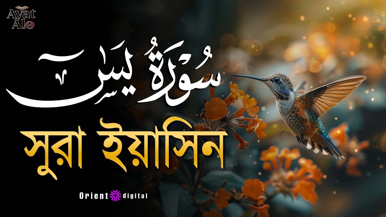 অন্তর শীতল করা মায়াবী কণ্ঠে সূরা ইয়াসীন ( سورة يس)┇Calming Recitation Surah Yasin by Ragab Al-Naggar