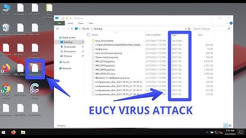 Eucy ransomware virus removal & decryption instructions.