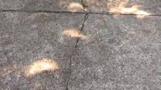 Dancing shadows of the 2017 Eclipse
