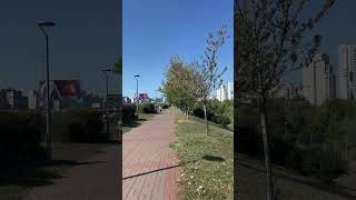 Кленовая Аллея Парк Позняки #жизньвкиеве