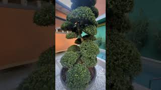 Ready To Use Na Sobrang Ganda New Sauna Sa Getfit Pinerolo Milano