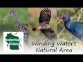 Birding Winding Waters Natural Area (Florida)