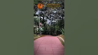 Sometimes Just Love Ain't Enough   Travis Tritt & Tyler Reese Tritt