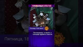 Пентаграммы В Память О Геноциде Здравого Смысла. Дмитрий Низовцев, Илья Шепелин.