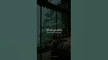 واصبر وما صبرك الا بالله حالات واتس اب قرآن كريم فارس عباد 