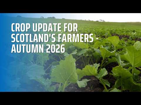 Crop Update for Scotland's Farmers - Autumn 2026