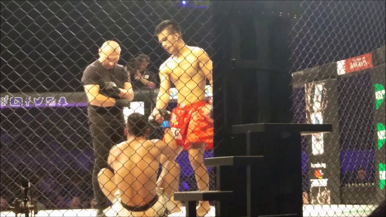 BRAVE 22: STORM OF WARRIORS highlights | Jeremy Pacatiw knocks out Mark Alcoba