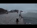 روح هادئه ونفس لا ترغب بشيء 