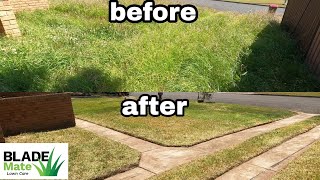 2 Aussies give a woman her yard back! Mowing tall grass