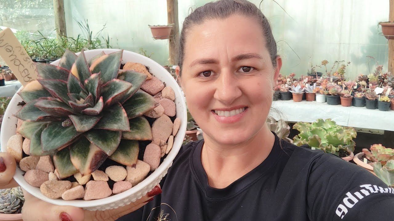 “Parecia perfeita… Mas quando tirei do vaso veio a surpresa!”😱