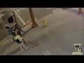 Hero Intervenes A Random Attack On Woman