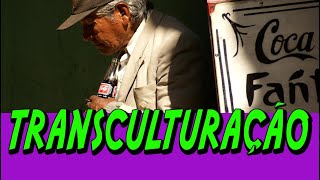 O QUE É TRANSCULTURAÇÃO? | CONCEITO DE TRANSCULTURAÇÃO