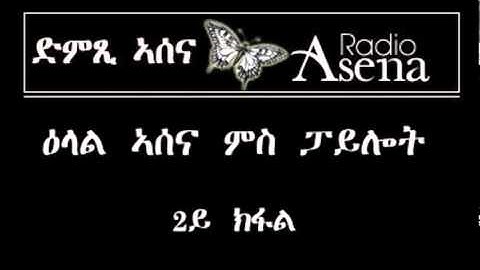 Assenna Interview with Pilot -  part 2