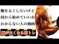 A Muscle Training Menu That Will Definitely Make Your Arms Thicker Even If You Are A Beginner Du A Muscle Training Menu That Will Definitely Make Your Arms Thicker Even If You Are A Beginner Du