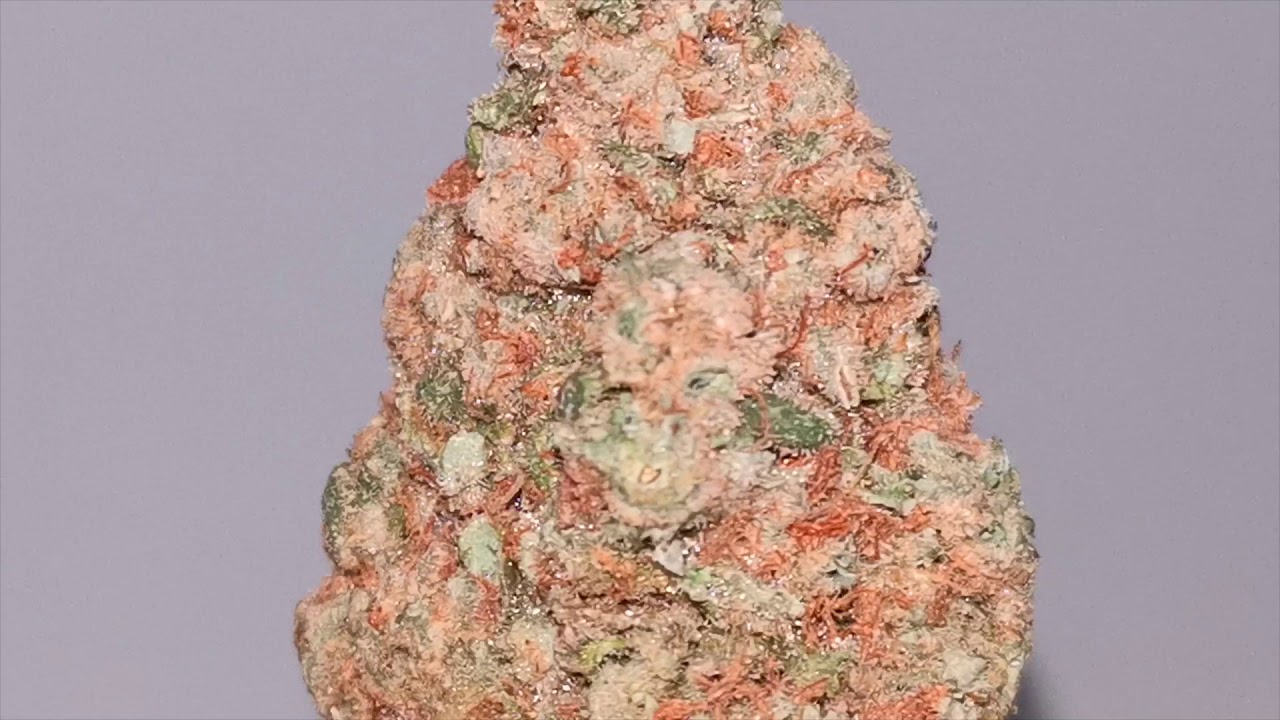 RED CONGOLESE AAA *** THC 18%-20% *** Strain View ***