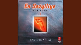 Şemail Enstrümantal — Dursun Ali Erzincanlı kapak görseli