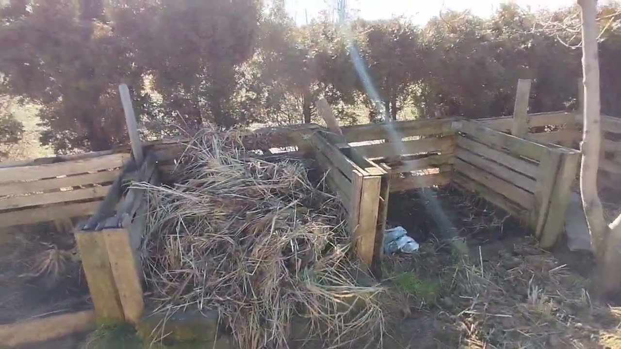 Wisła Mała 2026.02.28 przed cięciem