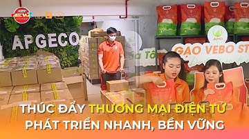 THÚC ĐẨY THƯƠNG MẠI ĐIỆN TỬ PHÁT TRIỂN NHANH, BỀN VỮNG