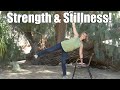 Strength and stillness  intermediate balance practice to stay sturdy with sherry zak morris ciayt