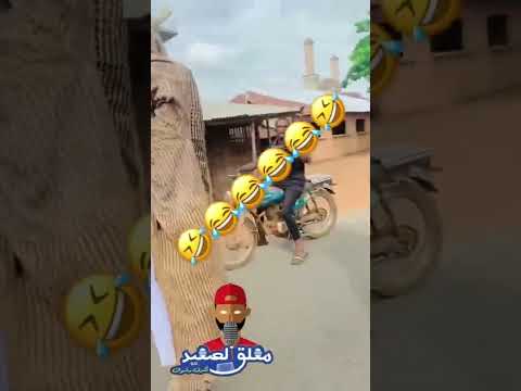 العيال اللي بتقعد قدام مدارس البنات هتموت من الضحك لهجة صعيدية