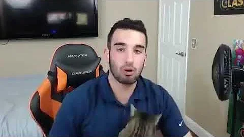 Twitch Streamers Cat Attacks Him