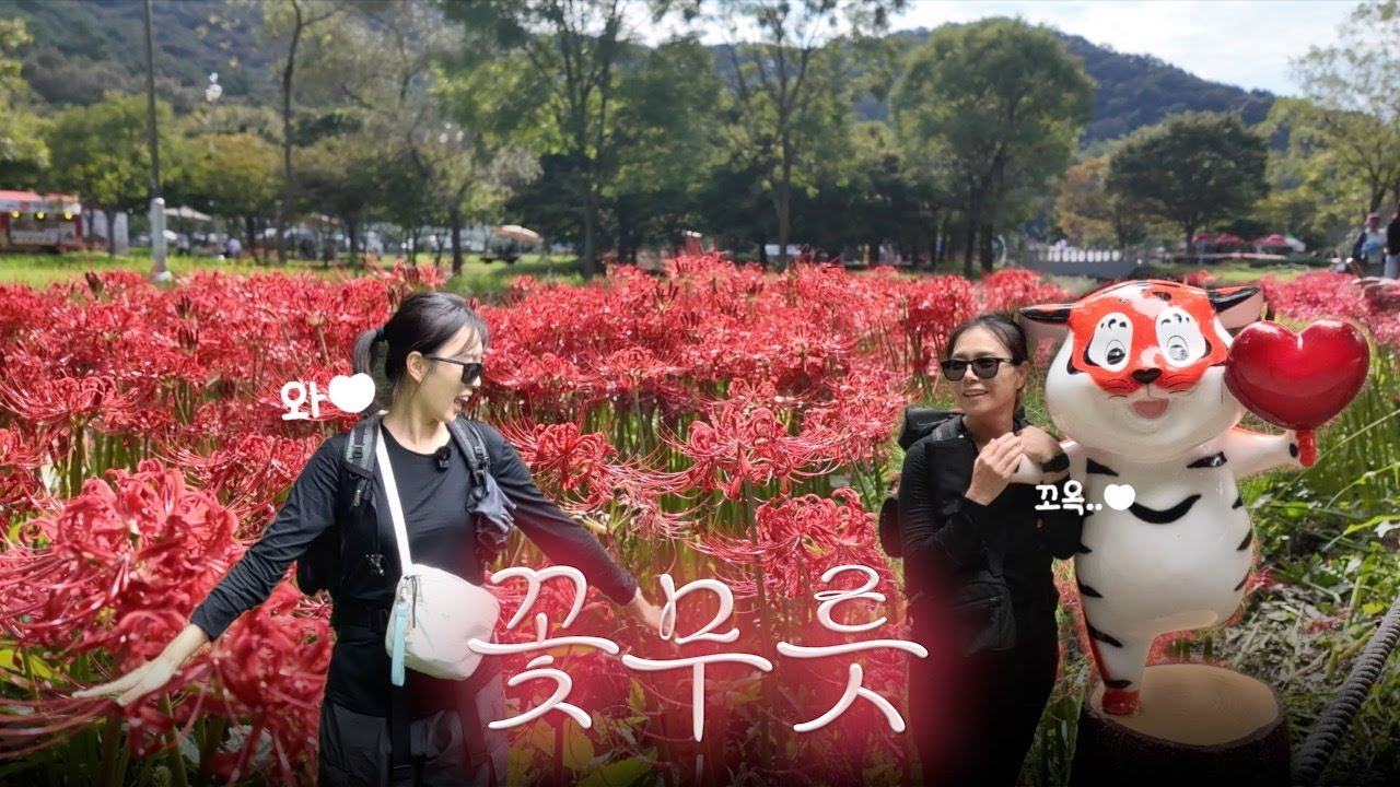 가을 찰나에만 만날 수 있는 꽃 .. 상사병 걸려 죽는 줄 .ᐟ