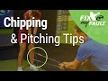 Chipping and pitching tips  must have drills