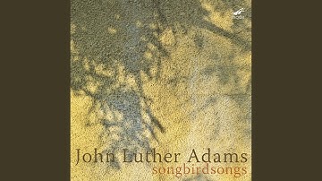 Songbirdsongs: V. Mourning Dove