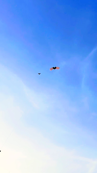 layangan sikep dan love goyang pargoy