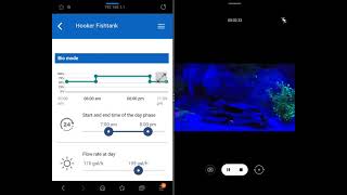 Topfin 120 Pro TIPS AND TRICKS 5⭐⭐⭐⭐⭐ Filter!!