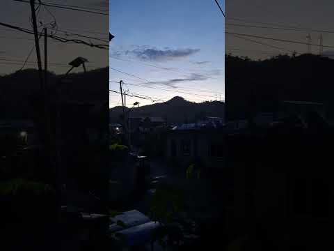 سامار أرض الشمس المشرقة موسيقى