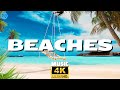 Beach  Tropical Paradise : Peaceful Beach &amp; Relaxing Melodies | 4K Nature Video