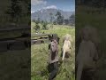How to find lion in rdr 2 Red Dead Redemption 2 Gameplay How to find lion in rdr 2 Red Dead Redemption 2 Gameplay