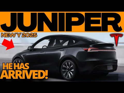 Tesla Model Y Juniper 2025 - Juniper Project Confirmed For Early 2025 With Big Changes!