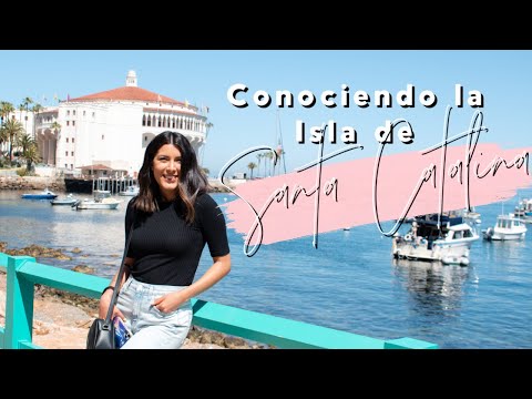 ISLA DE SANTA CATALINA ¿Una isla paradisiaca junto a Los Ángeles? | Mar Espejo