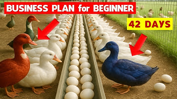 Duck production - Best duck for meat: Pekin duck genetics | Modern duck farming house design